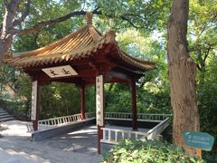 -北极阁公园