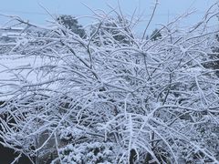 -武汉紫薇都市田园