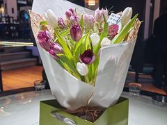 -院8里·小聚园(九眼桥店)