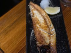 青鱼-KITON喜豚(清晖园店)