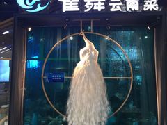 -雀舞云南菜(乐客城店)