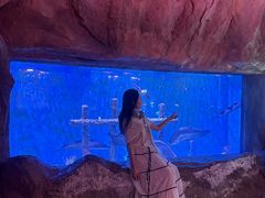 -南昌融创海世界