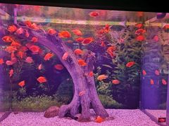 -常州海昌海洋探索馆