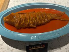 -阿五黄河大鲤鱼(英协路店)