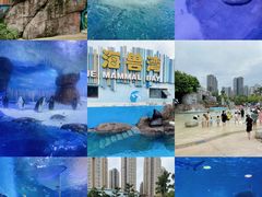 -海合安成都极地海洋公园