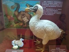 -重庆自然博物馆(新馆)