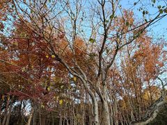 -白马涧龙池景区