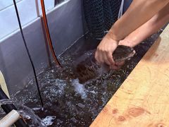 -大理.老字号渝记酸萝卜乌鱼(古城总店)