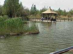 -亿利库布其七星湖沙漠生态旅游区