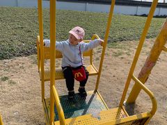 -菊园百果园