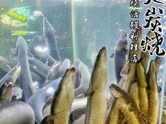 -本炙炭烤·蒲烧活鳗料理店(金沙洲店)