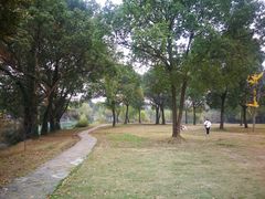 -苏州上方山国家森林公园