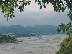 -渔寮风景区