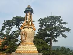 -普乐寺