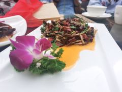 -尽善百年古院餐厅(王家老宅店)