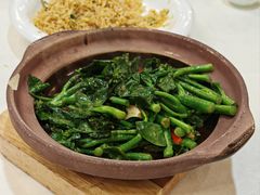 -五谷芳乳鸽王(梅沙老店)