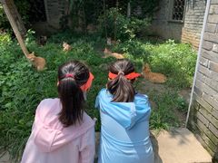 -溱湖八鲜菜馆