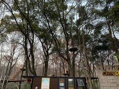 -WeLope紫金山探险公园