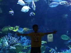 -暹罗海洋世界