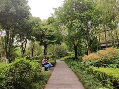 -沙河三洞古桥公园