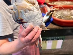 -舟山希尔顿酒店