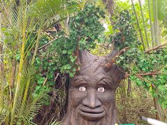 -海南热带野生动植物园