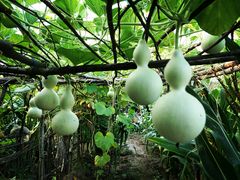 -永定河休闲森林公园