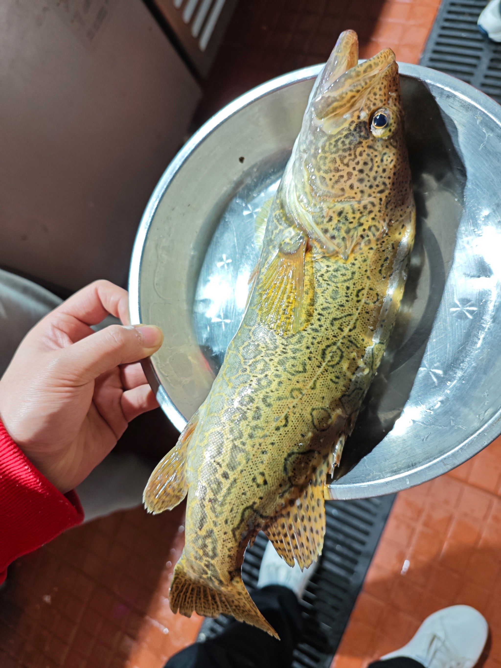 野生桂鱼汤鲜味十足