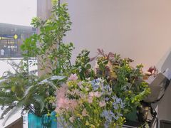 -植物学家的女儿(北马道巷店)