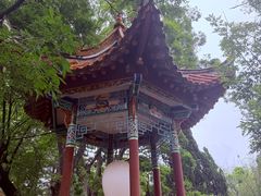 -庾园