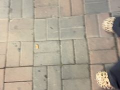 -清真·二嫂子煎饼果子(卫津路总店)