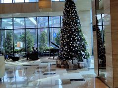 -上海龙之梦万丽酒店