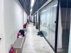 -舞蕾舞蹈(特长生校区)