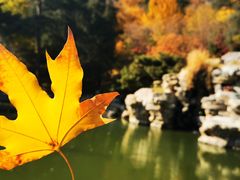 -香山公园