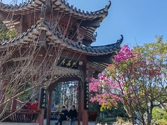 -四海公园(南山区)