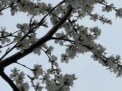 -南开大学(津南校区)