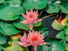 -白鹭湾湿地公园