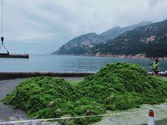 -崂山仰口游览区