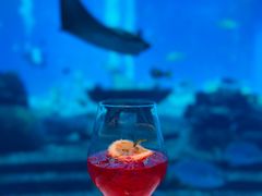 -亚特兰蒂斯•OSSIANO奥西亚诺海底餐厅