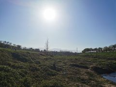 -洨河生态公园