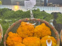 -季季山·云南野生菌火锅(上海首店)