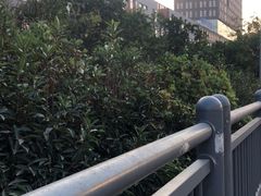 -客莱福诺富特酒店·互动餐厅
