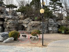-莲花池公园