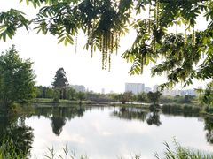 -眉山湿地公园(东坡区)