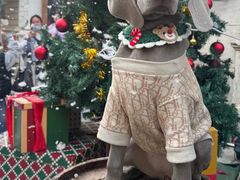 -华谊兄弟（长沙）电影小镇