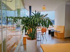 -爱樂咖啡(青年体育公园店)