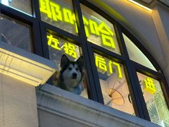 -万泊酒店(长沙五一广场国金中心店)