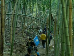 -四明山国家森林公园