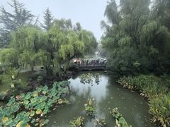 -洛阳市隋唐城遗址植物园