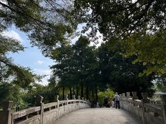 -晓港公园